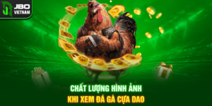 Chất lượng hình ảnh khi xem Đá gà Cựa Dao