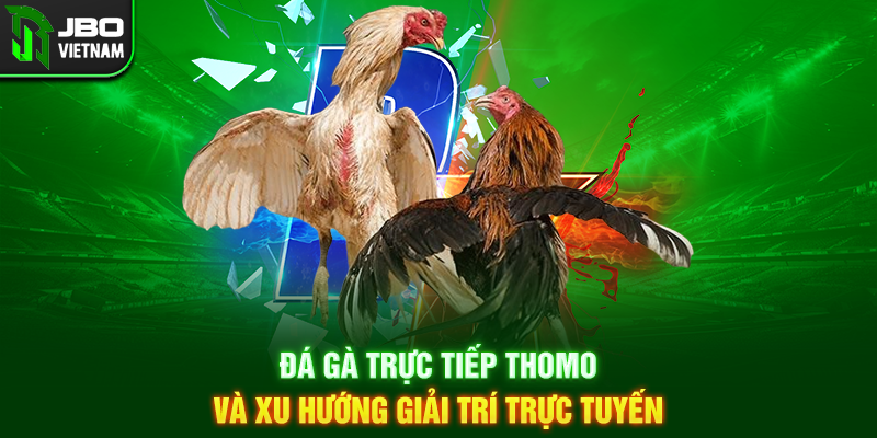 Đá Gà Trực Tiếp Thomo và xu hướng giải trí trực tuyến
