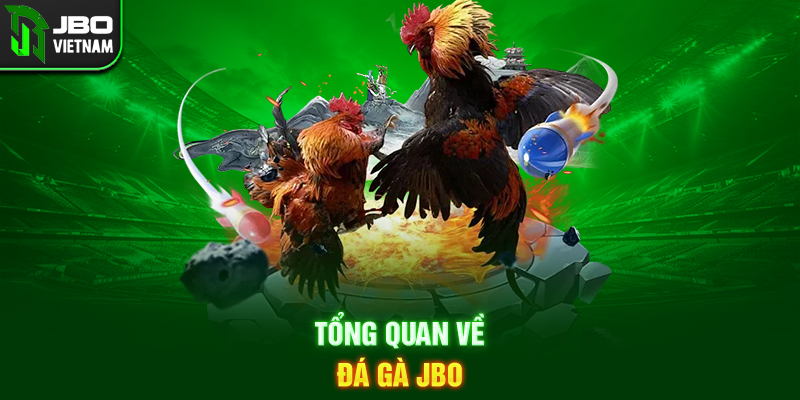 Tổng quan về Đá Gà JBO